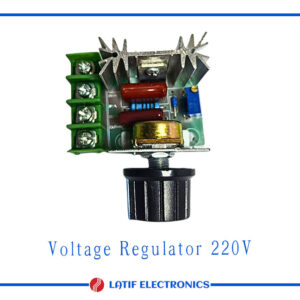 AC 220V 2000W Voltage regulator